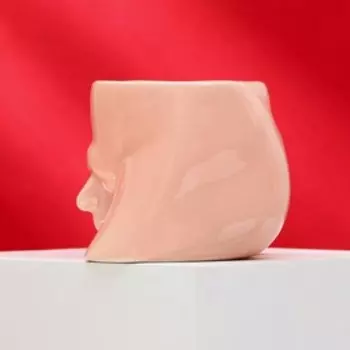 Кружка чайная керамическая «Адам», 260 мл, 18+