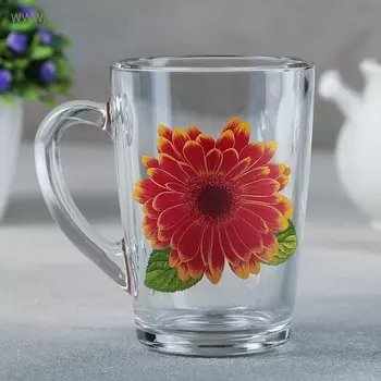 Кружка стеклянная «Коллекция цветов», 300 мл, рисунок МИКС