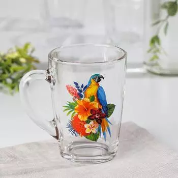 Кружка стеклянная «Тропические птицы», 300 мл