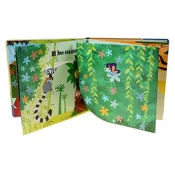 Кто бывает круглым?