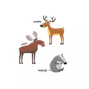 Кто живёт в лесу. Федиенко В. В.
