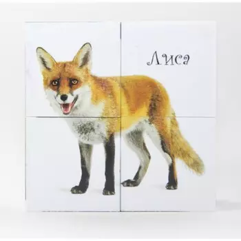 Кубики с картинками «Лесные животные», 4 шт.