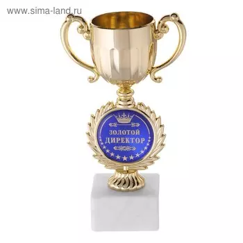 Кубок малый с чашей «Директор», 17,5 х 9,5 х 6,2 см