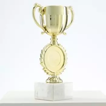 Кубок под нанесение, наградная фигура, золото, подставка камень, 179.55 см