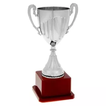 Кубок 045, наградная фигура, серебро, подставка пластик, 20 см