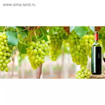 Кухонный фартук 1200х600 мм, закалённое стекло 4 мм, 4 отверстия под крепёж, цвет АРТ2199