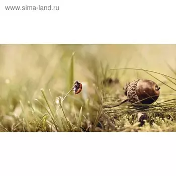 Кухонный фартук 1200х600 мм, закалённое стекло 4 мм, 4 отверстия под крепёж, цвет АРТ238