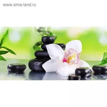 Кухонный фартук 1200х600 мм, закалённое стекло 4 мм, 4 отверстия под крепёж, цвет АРТ23