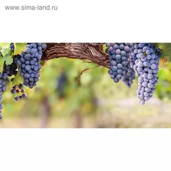 Кухонный фартук 1200х600 мм, закалённое стекло 4 мм, 4 отверстия под крепёж, цвет АРТ840