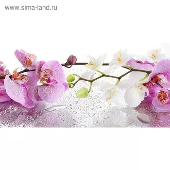 Кухонный фартук 1200х600 мм, закалённое стекло 4 мм, 4 отверстия под крепёж, цвет ЦВ0247