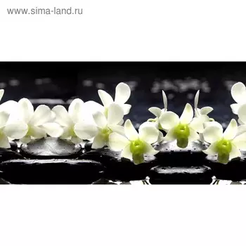 Кухонный фартук 1200х600 мм, закалённое стекло 4 мм, 4 отверстия под крепёж, цвет ЦВ0251