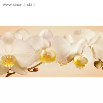 Кухонный фартук 1200х600 мм, закалённое стекло 4 мм, 4 отверстия под крепёж, цвет ЦВ0514