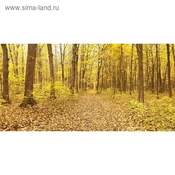 Кухонный фартук 1200х600 мм, закалённое стекло 4 мм, 4 отверстия под крепёж, цвет ПР0025