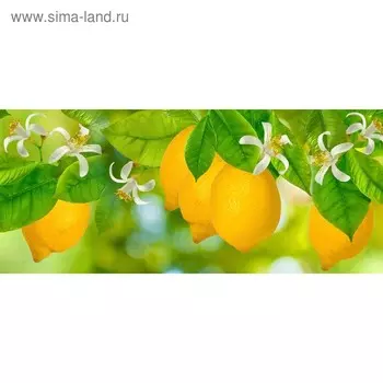 Кухонный фартук 1400х600 мм, закалённое стекло 4 мм, 6 отверстий под крепёж, цвет АРТ456