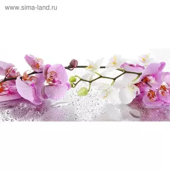 Кухонный фартук 1400х600 мм, закалённое стекло 4 мм, 6 отверстий под крепёж, цвет ЦВ0247