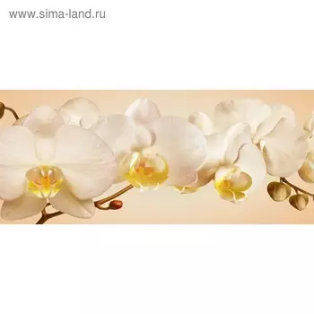 Кухонный фартук 1400х600 мм, закалённое стекло 4 мм, 6 отверстий под крепёж, цвет ЦВ0514