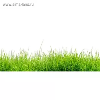 Кухонный фартук 1400х600 мм, закалённое стекло 4 мм, 6 отверстий под крепёж, цвет РА0005