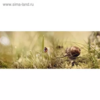 Кухонный фартук 1600х600 мм, закалённое стекло 4 мм, 6 отверстий под крепёж, цвет АРТ238