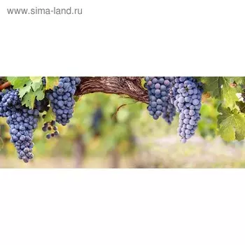 Кухонный фартук 1600х600 мм, закалённое стекло 4 мм, 6 отверстий под крепёж, цвет АРТ840