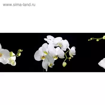 Кухонный фартук 1600х600 мм, закалённое стекло 4 мм, 6 отверстий под крепёж, цвет ЦВ0139