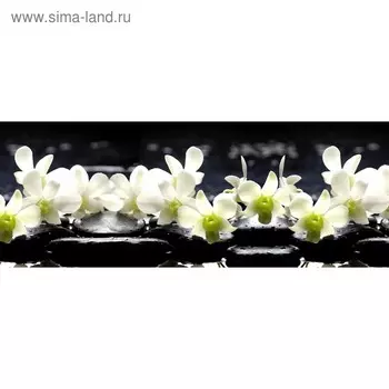 Кухонный фартук 1600х600 мм, закалённое стекло 4 мм, 6 отверстий под крепёж, цвет ЦВ0251