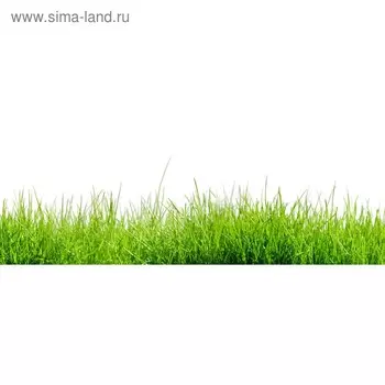 Кухонный фартук 1600х600 мм, закалённое стекло 4 мм, 6 отверстий под крепёж, цвет РА0005