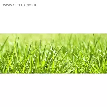 Кухонный фартук 1600х600 мм, закалённое стекло 4 мм, 6 отверстий под крепёж, цвет РА0041