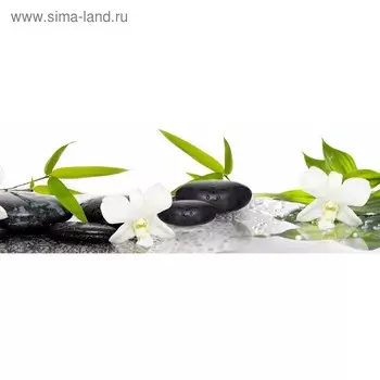 Кухонный фартук 1800х600 мм, закалённое стекло 4 мм, 6 отверстий под крепёж, цвет АРТ331