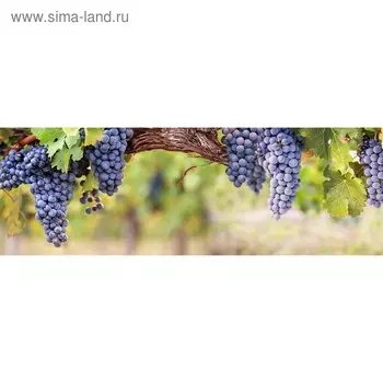 Кухонный фартук 1800х600 мм, закалённое стекло 4 мм, 6 отверстий под крепёж, цвет АРТ840