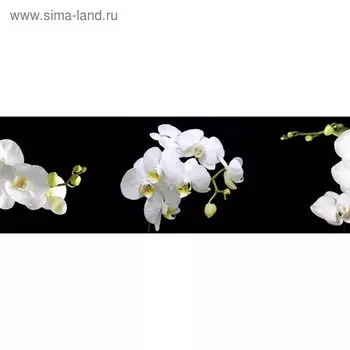 Кухонный фартук 1800х600 мм, закалённое стекло 4 мм, 6 отверстий под крепёж, цвет ЦВ0139