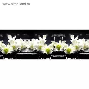 Кухонный фартук 1800х600 мм, закалённое стекло 4 мм, 6 отверстий под крепёж, цвет ЦВ0251