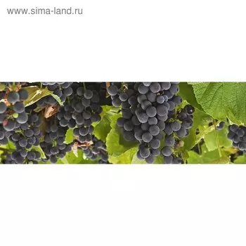 Кухонный фартук 1800х600 мм, закалённое стекло 4 мм, 6 отверстий под крепёж, цвет ФР0202