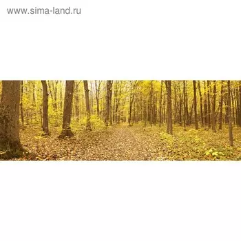 Кухонный фартук 1800х600 мм, закалённое стекло 4 мм, 6 отверстий под крепёж, цвет ПР0025