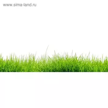 Кухонный фартук 1800х600 мм, закалённое стекло 4 мм, 6 отверстий под крепёж, цвет РА0005