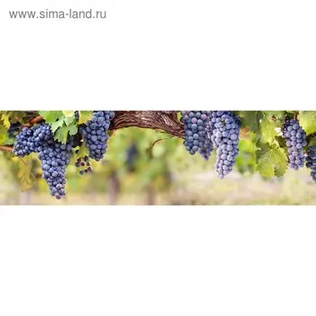 Кухонный фартук 2000х600 мм, закалённое стекло 4 мм, 6 отверстий под крепёж, цвет АРТ840