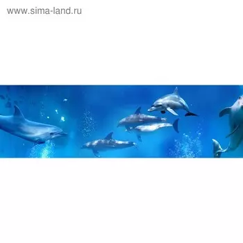 Кухонный фартук 2000х600 мм, закалённое стекло 4 мм, 6 отверстий под крепёж, цвет АРТ841