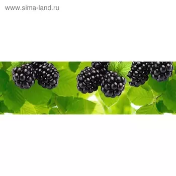 Кухонный фартук 2000х600 мм, закалённое стекло 4 мм, 6 отверстий под крепёж, цвет АРТ890