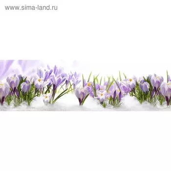 Кухонный фартук 2000х600 мм, закалённое стекло 4 мм, 6 отверстий под крепёж, цвет ЦВ0216