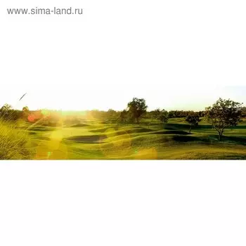 Кухонный фартук 2000х600 мм, закалённое стекло 4 мм, 6 отверстий под крепёж, цвет ПР0257