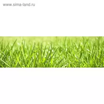 Кухонный фартук 2000х600 мм, закалённое стекло 4 мм, 6 отверстий под крепёж, цвет РА0041