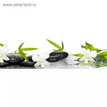 Кухонный фартук 2100х600 мм, закалённое стекло 4 мм, 6 отверстий под крепёж, цвет АРТ331