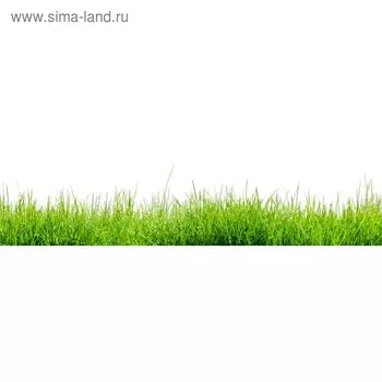 Кухонный фартук 2100х600 мм, закалённое стекло 4 мм, 6 отверстий под крепёж, цвет РА0005