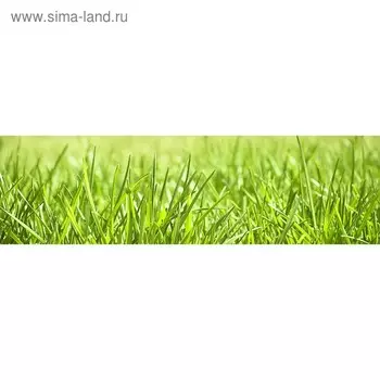 Кухонный фартук 2100х600 мм, закалённое стекло 4 мм, 6 отверстий под крепёж, цвет РА0041