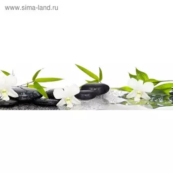 Кухонный фартук 2200х600 мм, закалённое стекло 4 мм, 6 отверстий под крепёж, цвет АРТ331