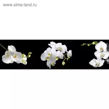 Кухонный фартук 2200х600 мм, закалённое стекло 4 мм, 6 отверстий под крепёж, цвет ЦВ0139