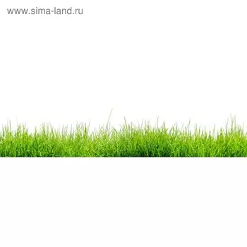 Кухонный фартук 2200х600 мм, закалённое стекло 4 мм, 6 отверстий под крепёж, цвет РА0005