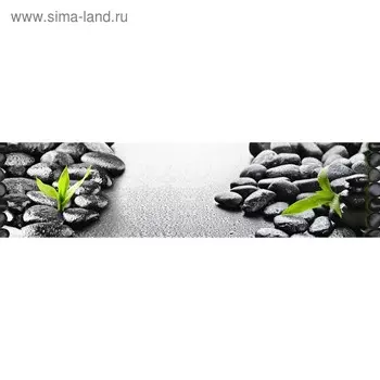 Кухонный фартук 2400х600 мм, закалённое стекло 4 мм, 6 отверстий под крепёж, цвет АРТ53