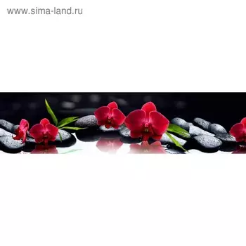 Кухонный фартук 2400х600 мм, закалённое стекло 4 мм, 6 отверстий под крепёж, цвет АРТ69