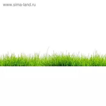 Кухонный фартук 2400х600 мм, закалённое стекло 4 мм, 6 отверстий под крепёж, цвет РА0005