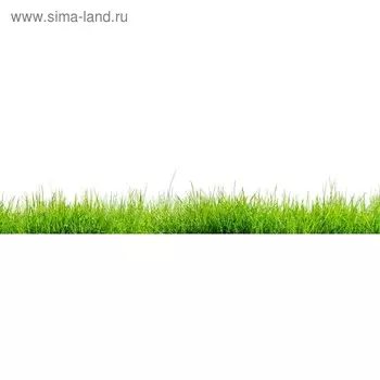 Кухонный фартук 2600х600 мм, закалённое стекло 4 мм, 6 отверстий под крепёж, цвет РА0005